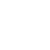 Aston Martin Icon